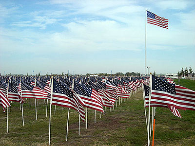 Diagonal rows of American flags with large flag at the Crossroads Point's Patriot Day Healing Field